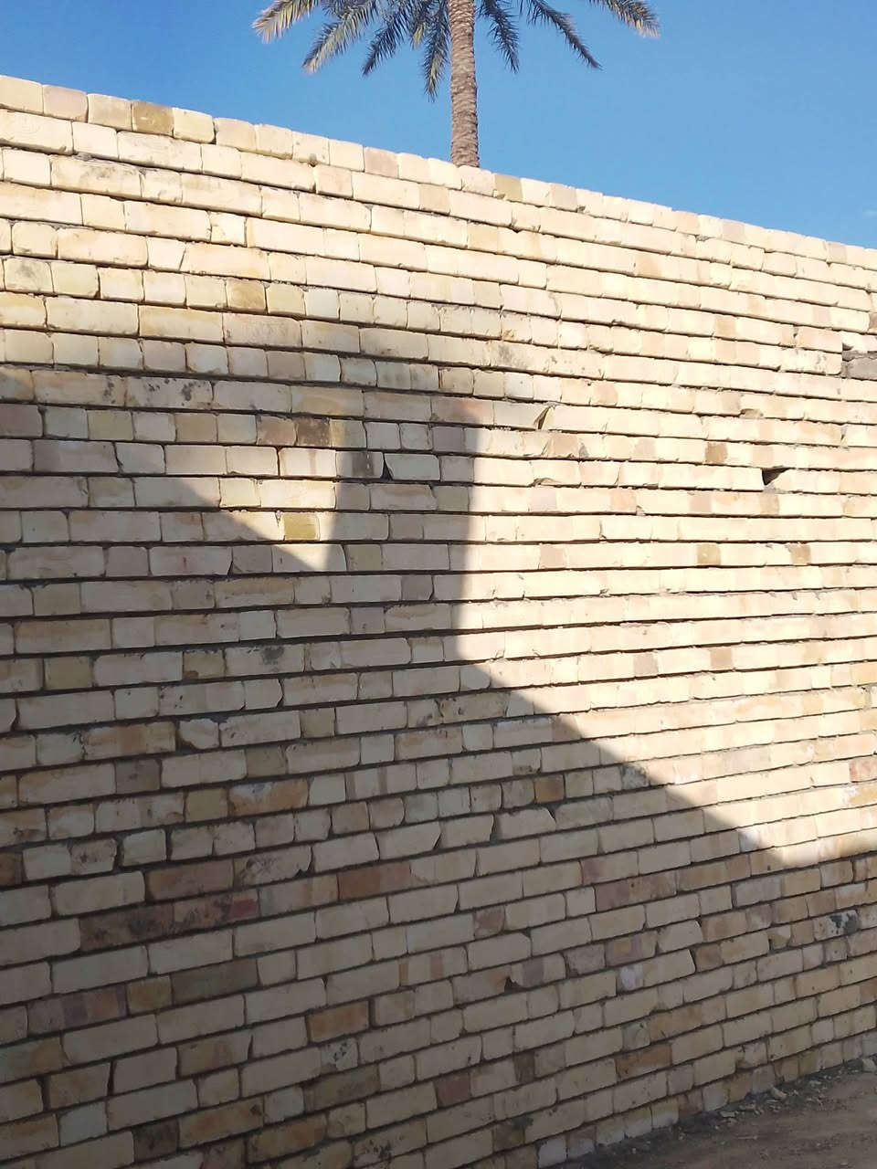 🏗️ خلفة بناء الطابوق والبلوك
إذا كنت تبحث عن عمل متقن وجودة مضمونة في البناء، فنحن جاهزون لتنفيذ جميع أعمال الطابوق والبلوك باحترافية عالية.
✅ بناء منازل وفلل ✅ بناء محلات وأسوار ✅ تنفيذ مجمعات سكنية ✅ ترميم وإضافات بناء ✅ دقة في العمل والتزام بالمواعيد ✅ أسعار مناسبة وجودة مضمونة
📍 نعمل في جميع محافظات العراق
📞 للحجز والاستفسار: ‏‪***********‬‏
#بناء_الطابوق #بناء_البلوك #مقاولات #بناء_منازل #العراق #خلفة_بناء_الطابوق_والبلوك 🧱🏠✨
