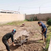 07831888092📞سلام عليكم  / يوجد كادر عمل جاهز/ تصعيد مواد/ تنضيف بيوت/ ...