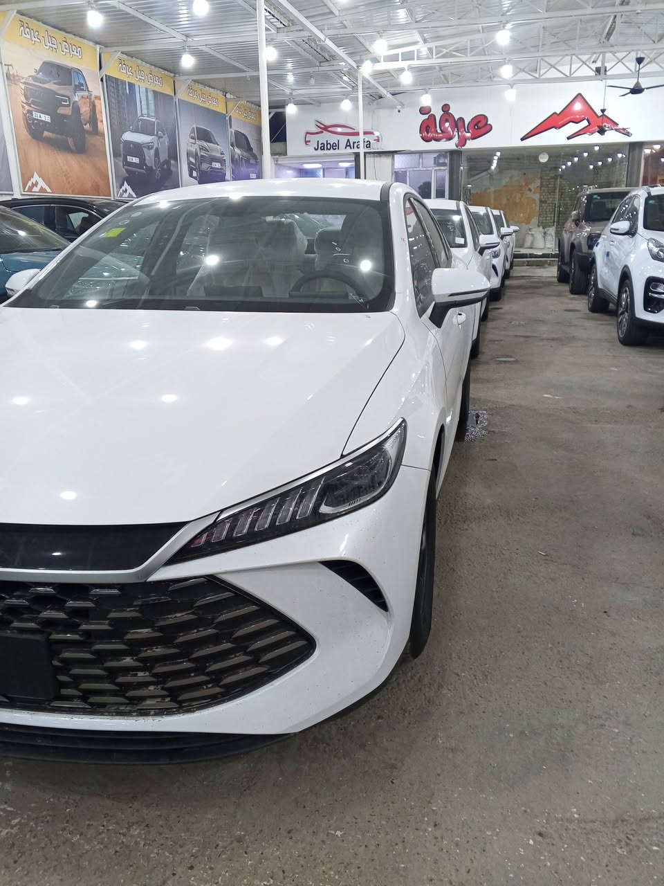 🚗✨‭🚗✨ ا  BYD
2️⃣0️⃣2️⃣5️⃣

QIN PLUS  !🚗
ويل كب .. كروم اسود 

تمشيك...2️⃣1️⃣0️⃣0️⃣

تصميم عصري.. أداء اقتصادي.. وتقنيات المستقبل بين يديك ⚡

بصمه + كارت + شاحن اصليه 

🔹 المواصفات:

✅ محرك هايبرد 1.5 لتر + محرك كهربائي  

✅ ناقل حركة أوتوماتيك 

✅ شاشة وسطية 

✅ شاشة عدادات رقمية بالكامل

✅ مقاعد جلد فاخرة💺

✅ كاميرا + حساسات خلفية

✅ نظام دخول وتشغيل بدون مفتاح + بصمة تشغيل 🔑

✅ إضاءة LED أمامية وخلفية  💡

🌿 استهلاك وقود اقتصادي جدًا بفضل نظام الـ DM-i من BYD 💪

💎 رفاهية، أمان، وتكنولوجيا… كلها في QIN Plus الجديدة كلياً!

🌹شاحن بطارية 

🌹دواسات اصليه 

🌹ماسحات اصليه 

🌹مثلث.. طوارئ 

متوفر الون ... أبيض داخل....ابيض...

السعر....17.900...مليون

صافي..... بدون دلالية.......فقط..سعر السياره 

عنوان 

🌹بغداد _

🌹 معارض الكريعات شارع الوقف السني 

معرض...... جبل........ عرفه.. لتجاره.. السيارات 

تحويل..كل.. مواقع... المرور.. بغداد 
 
تترقم..... كل...... محافظات 

📞 للاستفسار والتواصل:

👨‍💻 خدمة البيع نقداً فقط :

  ☎️ ‭***********

 ☎️ ‭***********

💼 معرض جبل عرفةواحد BYD… نضع الثقة والجودة في المقدمة ✔

#BYD #QIN_L #سيارات_هايبرد  🚘✨
