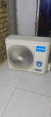 سبلت الوادي • طنين • مستعمل قليل