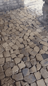 نشتقل قفاز حدل اوتربيع البيوت نتصال على الرقم بية وتساب 07865289515