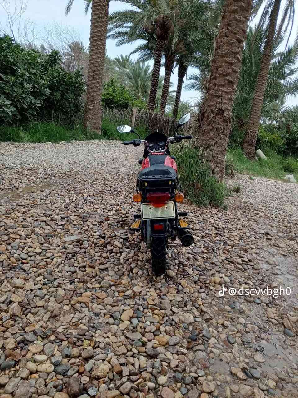 بوكسر موديل 2019 اوراق اصوليه مكان بابل للتواصل ***********
