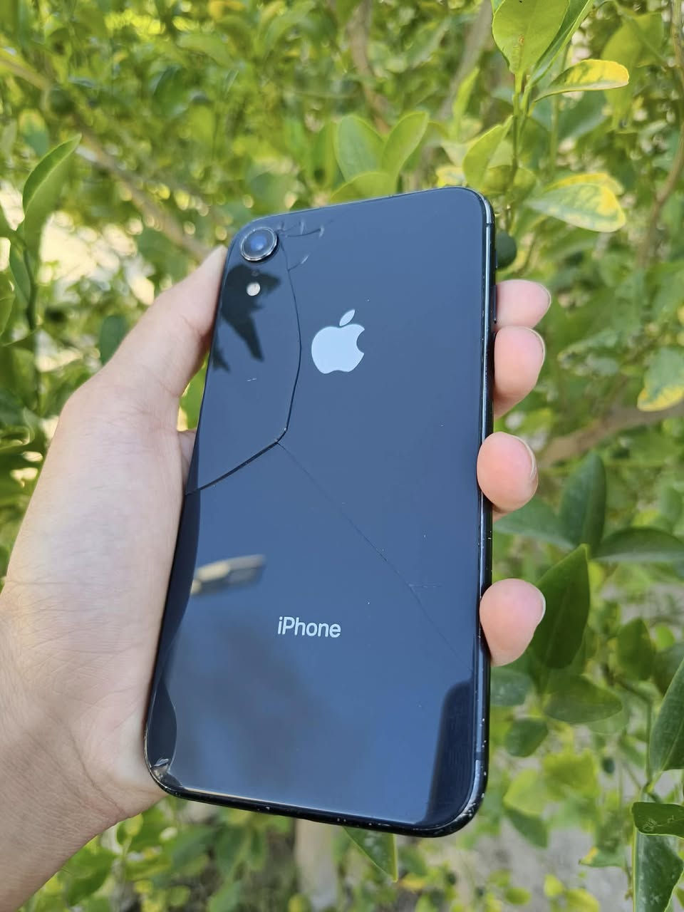 السلام عليكم ايفون XR بلادي
مبدل ضهر فقط وبي فطور موضح بالصورة
البطارية 79 الذاكرة 128 فيس ايدي شغال
السعر 175الف وبي مجال المكان الأزركية


**إذا كنت صاحب هذا الإعلان وتريد حذفه لأي سبب، رجاءا أرسل رسالة إلى الدعم الفني**