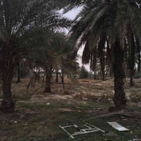 قطعه ارض طابو ملك سرف 2دونم سند 25 جنس الارض بستان بغداد المدانن  النز...