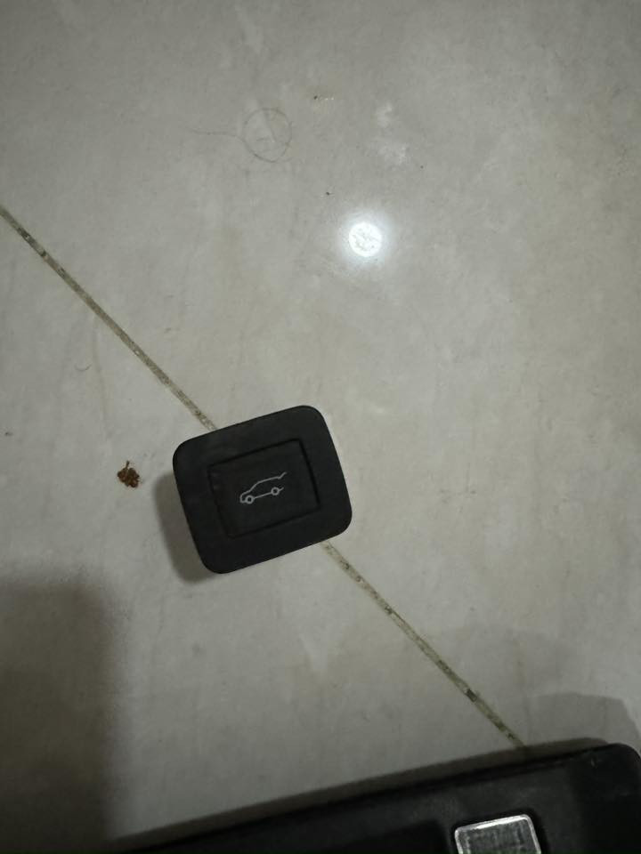 دعامية امامية تريل بلايزر كامله للبيع 
لايت امامي عدسات لد للبيع 
وضفيرة قبق صندوك
وضفيرة دعامية خلفية 
وماطور صندوك قفل
وسبايدر صندوك 
بسعر مناسب 
للاستفسار الاتصال على الرقم 
***********
