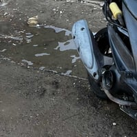 صلنصه بلاديه ممولحه مابيها قطرت لحيم مراوس بصجميه مرتبه 07881146814 مك...