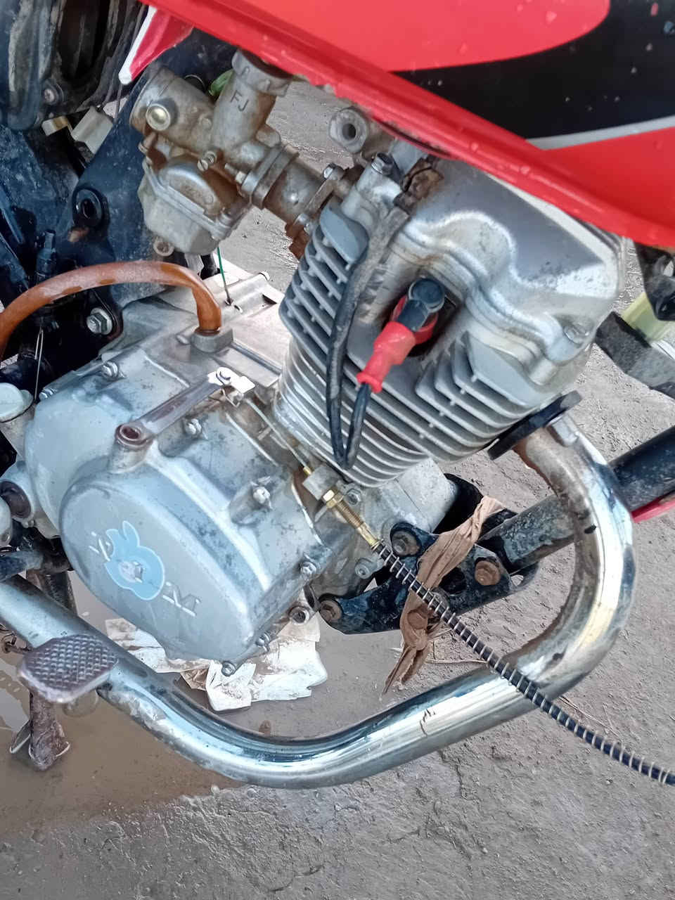 سلام عليكم دراجة البيع او مروس السعر 225 وبيه مجال ***********
