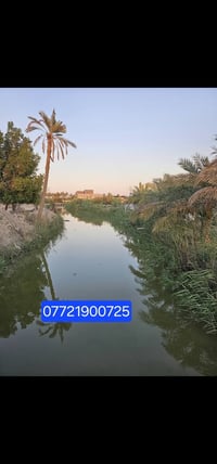 البصرة أبي الخصيب • دونمين • محاطة بنهر
