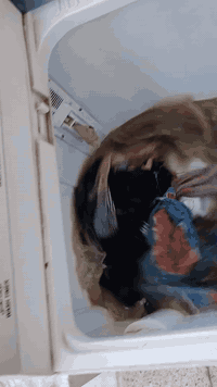 للبيع غساله نوع كرافت حجم كبير نظيفه واخت الجديده كله شغاله غسل تجفيف تصريف ماء تمام وعلى الفحص وبيه ضمان ماطوراته الاصليه وعلى الشركه سعره 70 الف في مركز مدينة الحله حي الزهراء قرب جسر الأم موبايل ***********
