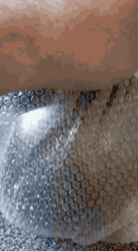 غراض طوس ليت مع قبقات مري المهتم يتصل مكاني بغداد الحريه ***********
