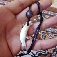 ناب ذيب • اصلي
