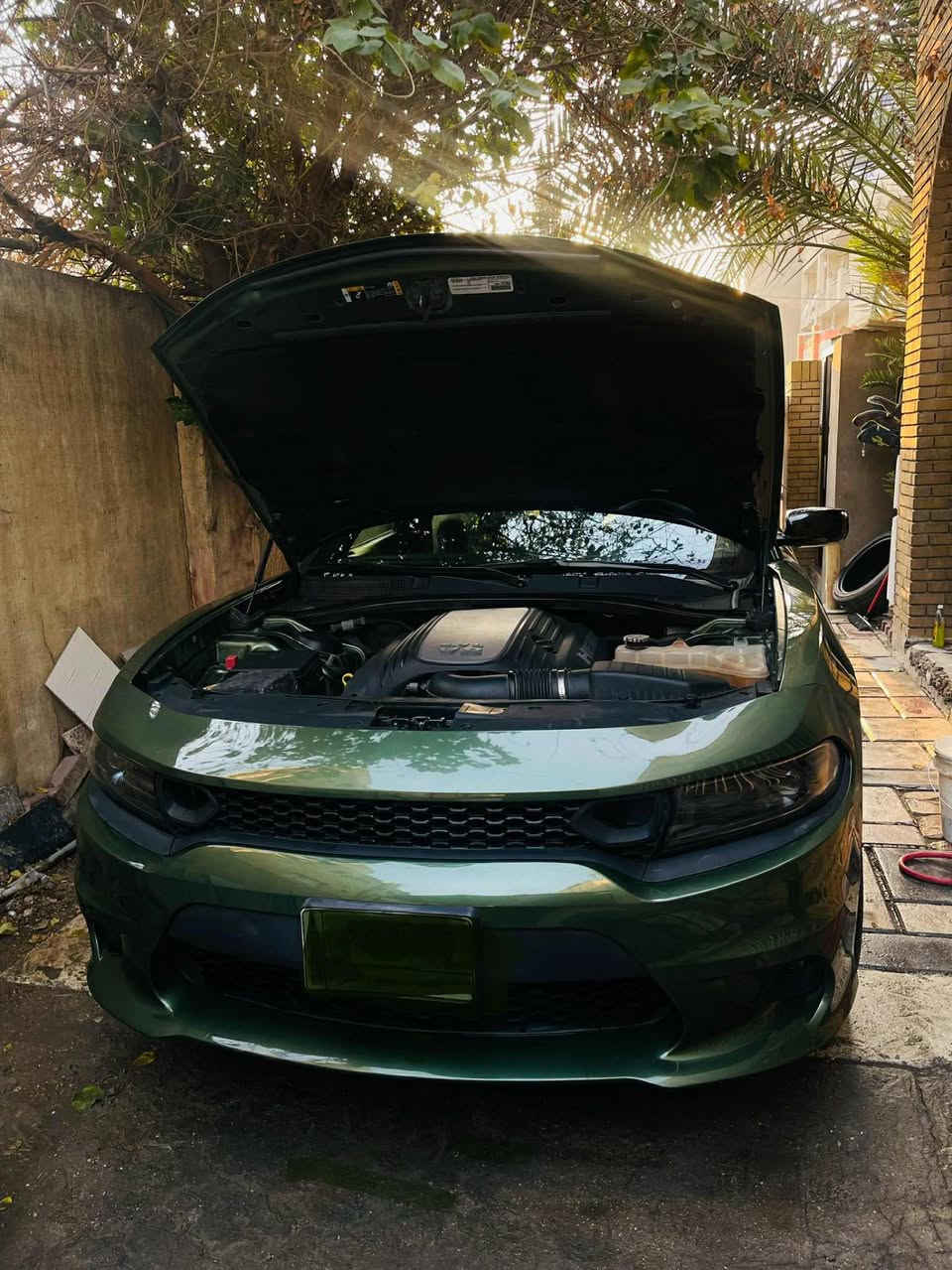 الموديل :2022  .
جارجر ارتي ماكس 
فول 1 /1 
‏CHARGER RT MAXS 
لون زيتوني
 سياره ستوك
المحرك  V8  5.700
مكفوله من الصبغ و البارد وارباك كلين
رقم بغداد
🔴 جناح خلفي
🔴ويل قياس 20 انچ 
🔴مقود القيادة رياضي . 
🔴مقاعد رياضية من الشاموا الأسود.
🔴نقطة عمياء 
🔴 مصابيح أمامية زنون . 
🔴كشافات الضباب زنون . 
🔴 المصابيح الأمامية مع LED . 
⭕️حساسات خلفية
⭕️ شاشه كبيرة مع نظام ملاحة نفكيشن GPS . 
⭕️ سستم صوت الپاين .
⭕️تيارات جديده
⭕️ فتحة سقف (سلايد) . 
⭕️ المقاعد الأمامية كهربائية . 
⭕️ ذاكرة لحفظ وضعيات الجلوس (ميموري) . 
⭕️مقاعد أمامية تبريد وتدفئة . 
⭕️ مقاعد خلفية تدفئة.
⭕️تشغيل عن بعد . 
⭕️المقود كهربائي .
⭕️ تدفئة مقود القيادة . 
⭕️ محدد سرعة . 
⭕️ تلفون بلوتوث . 
⭕️ كاميرا خلفية .
⭕️ مرايا متحسسة للاضاءة العالية .
⭕️ كير شفتر بالستيرن .
⭕️ دخول ذكي (بصمة) .

رقمي ***********

مكاني بغداد

