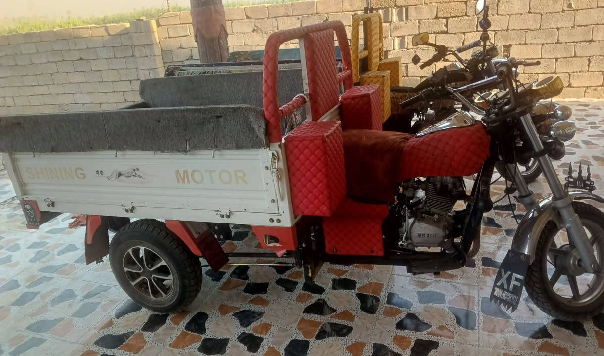 فحل قلاب لبيع موديل 19بعده جديد اوراق ورقتين ومنفيس كفاله عامه مكينه اكسن شاصي ركبه كهربايات كله مكفول مكينه 200 سعره 1550بي مجال عنوان ديالي؟ ***********
