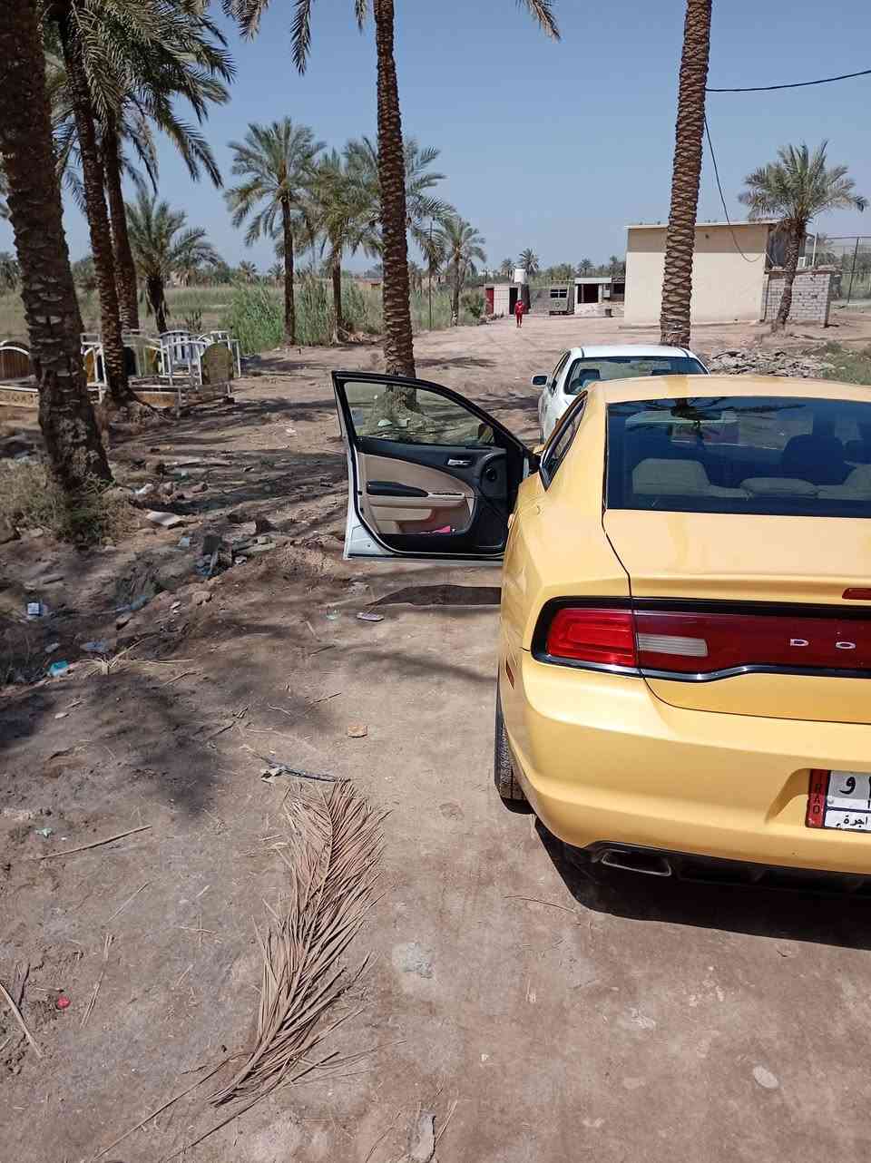 ١٤ للبيع رقم بغداد بسمي جاهزه سعر عل خاص مناسبه يعني ***********
