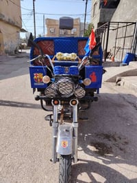 ستوتة • ام الطير 20 • اوراق كاملة