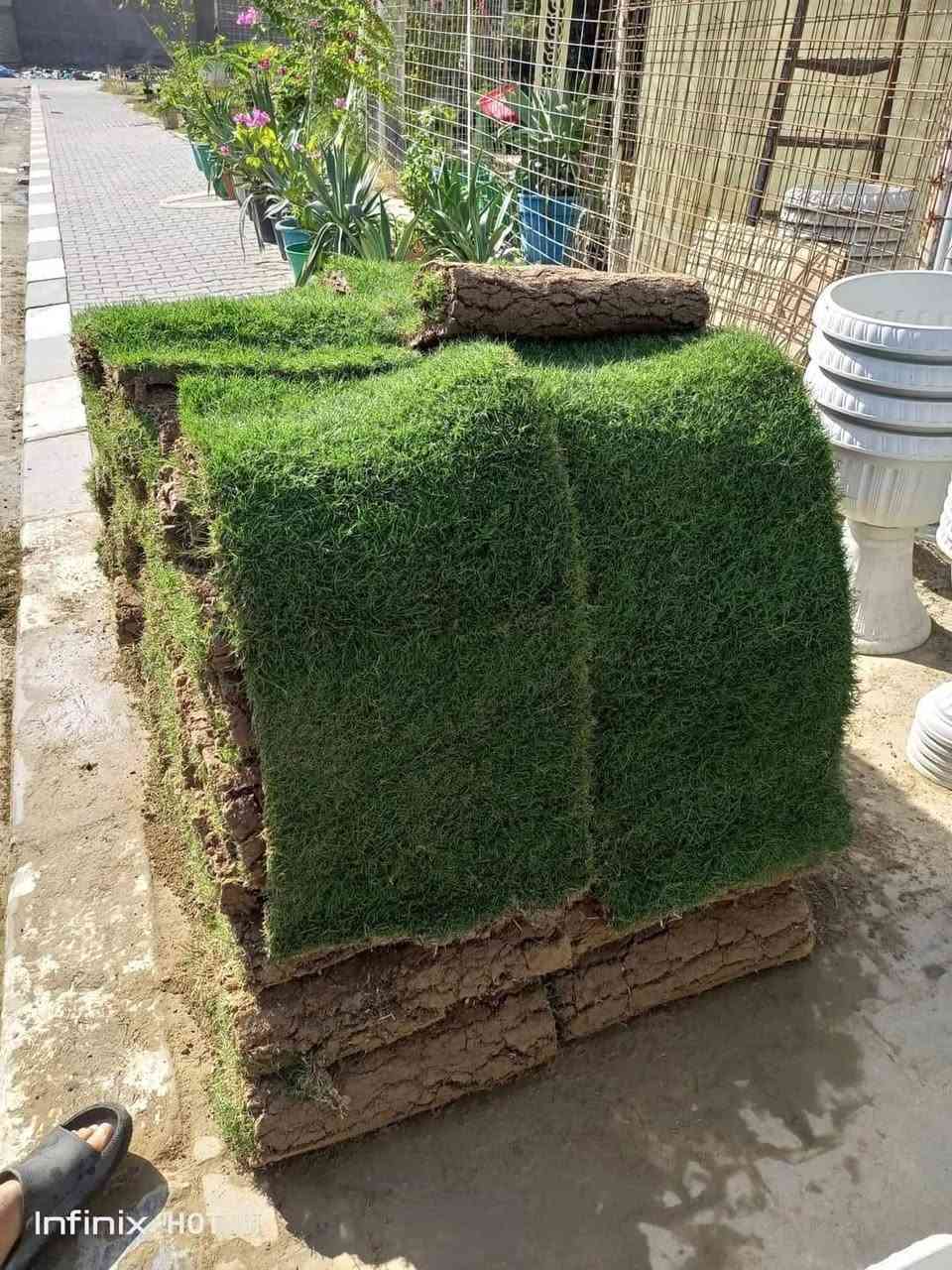 من مزارع ثيل ديالى الطبيعي
ثيل طبيعي وخضار ولا اروع 💚
كل انواع الثيل تلكوها عدنة وكادر متخصص متنقل يجيك لباب البيت
نوعية ممتازة ودرجه اولى ⁦1️⃣⁩
ودائم الخضره 

يتوفر لدينا جميع انواع الثيل الطبيعي 🌿🌲☘️
🌿ثيل هندي 🌲🍀

🌿ثيل امريكي 🌿🌳

🌿ثيل فرنسي 🌳🌲
مستعدون لتجهيز 
🌳الدور السكنية 🌿
🌲الدوائر الحكومية 🌳
🍀الحدائق العامة 🍀
نتميز بحسن الجودة والاسعار المناسبة 💪😊
للاتصال والاستفسار على الرقم التالي 

***********
***********
