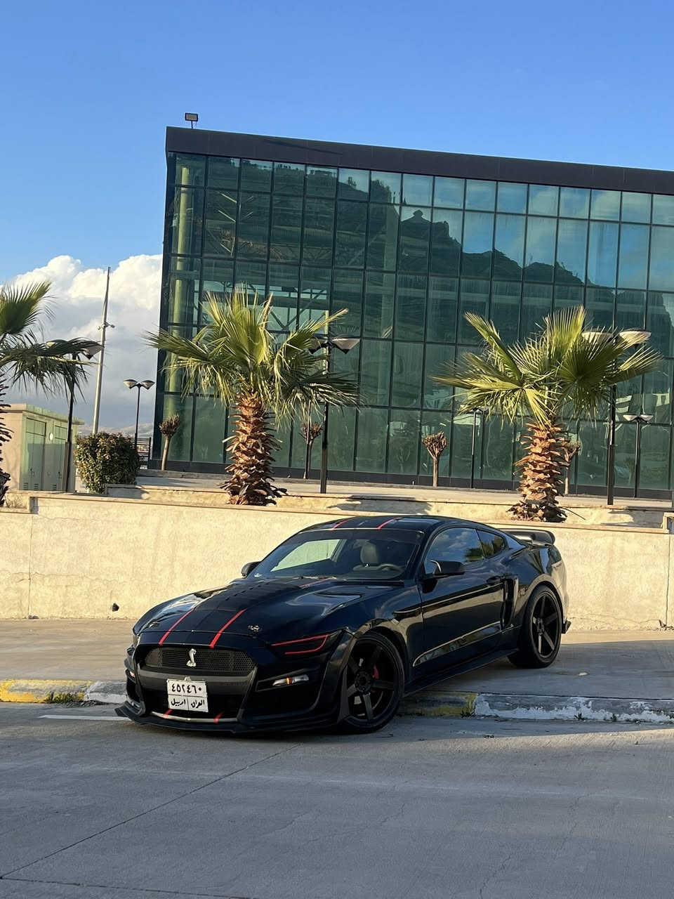 السلام عليكم
موستنك ستة سلندر
‏Mustang 2016 V6
كير محرك اكسل شرط
صبغ بوند محدث واربع قطع ابيع حزام 
ايرباك دشبول مطاك 
ماشيه١٠٦ mi
صدر امامي خلفي جديد
تبريد كهربائيات شرط
الاضافات
دعاميه شيلبي
لحية شيلبي
سبويلر جيتي 
كزوز روش دبات
دفيوزر 
داخل كاربون فايبر كامل حتى قعده مال تبريد كاربون فايبر
اناره داخليه الوان
 ويل ٢٠ فويسن يخبل
تايرات نظيفه
لايتات ليد احمر 
 كوشن كهربايي
كزوز رياضي فصله و طلاقات
سياره شرط مابيها مصرف نهائيه
رقم اربيل 
تحويل شرط باسم شركة 
مكان سياره دهوك
سعر 129$وبي مجال بسيط
للبيع او مراوس شمالي فقط
‏Watsapp ***********
