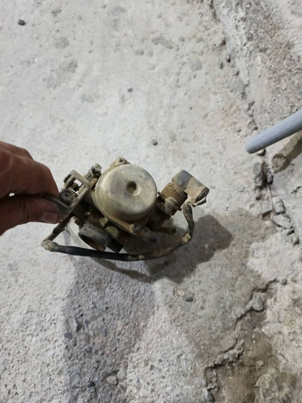 كابريتر ماكس عدلة بلادي شرط الفحص ولمعدل مراوس بصالنصة بلادية مال ماكس عدلة


**إذا كنت صاحب هذا الإعلان وتريد حذفه لأي سبب، رجاءا أرسل رسالة إلى الدعم الفني**
