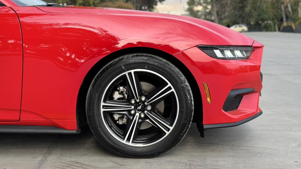 Ford mustang 2024 
السيارة بيها ٢ قطعة صبغ باب و جملغ الارباك مال دكمة طاك 
السيارة ماشية : 10000 mi
السعر :26.500$  
الهاتف : ***********
