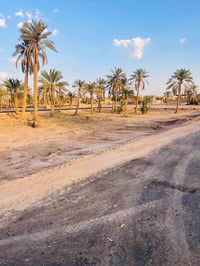 شط العرب الجويمه • ١٠٠/٢٠٠/٤٠٠م • طابو اصوليات