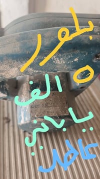 07902273303