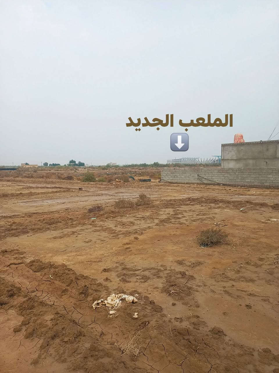 قطعة زراعي للبيع  مخدومه ماي كهرباء 
قرب توزيع الحشد وقرب الملعب الجديد 

اتصال أو مراسلة واتساب
***********
