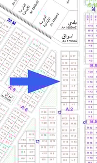 مجمع الجنائن • ٣٠٠م • دار