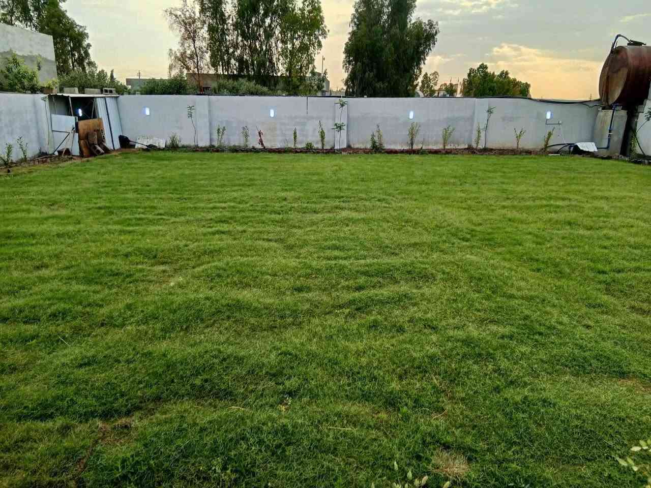 مزرعه نصف دونم للبيع يم مطعم ميديا ساقزلي تفاصيل وتساب ***********
