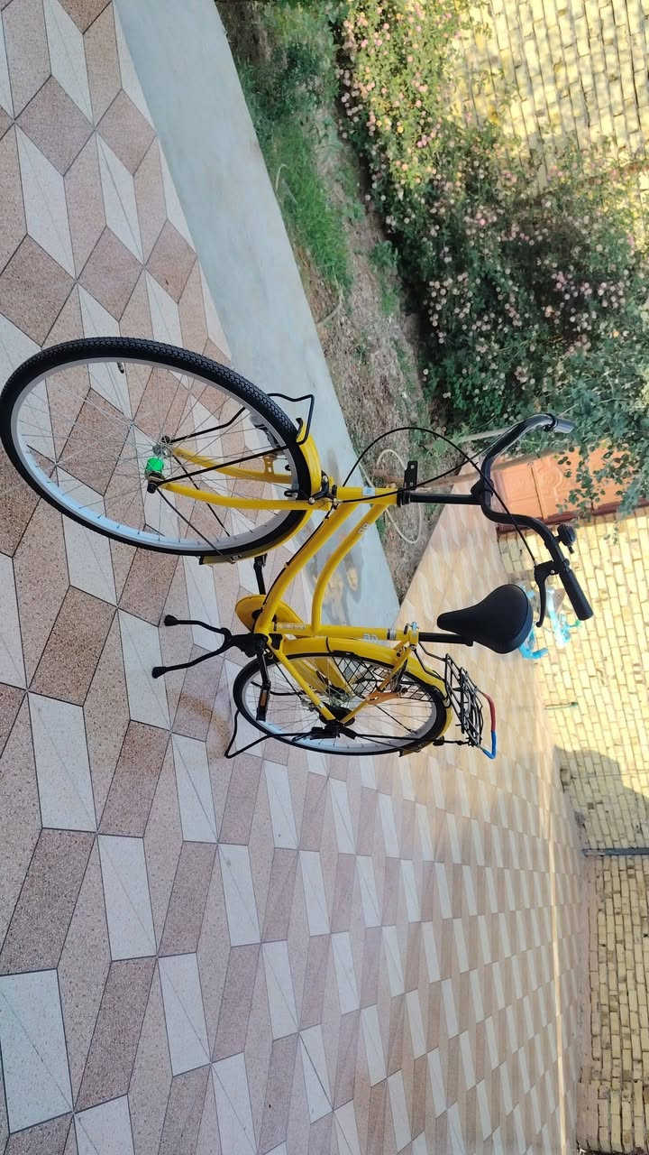 السلام عليكم بايسكل للبيع موديل٢٥ ستوه نازل حاويه شخط مابي السعر ١٧٠ وبي مجال للطيبين الرقم *********** وبي واتساب وخاص     مستعجل عله بيعته
