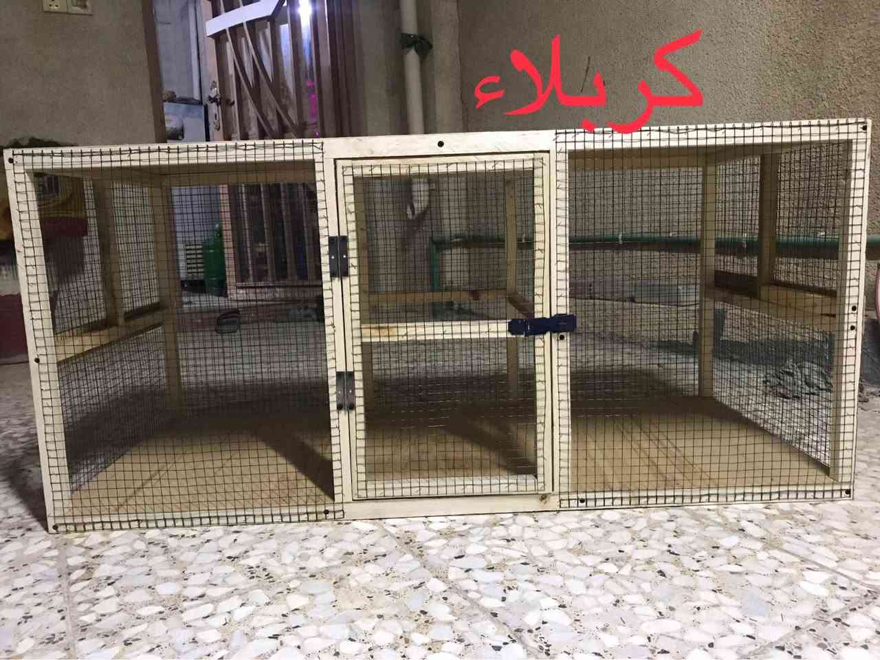 قفص جديد العرض متر و20 سم والارتفاع 55 سم والنزال 55 سم /كربلاء حي الانتفاضه الثانيه كربلاء, العراق


**إذا كنت صاحب هذا الإعلان وتريد حذفه لأي سبب، رجاءا أرسل رسالة إلى الدعم الفني**