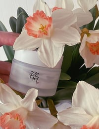 بيوتي اوف جوسون • كريم مرطب • مستخلص ماء الارز