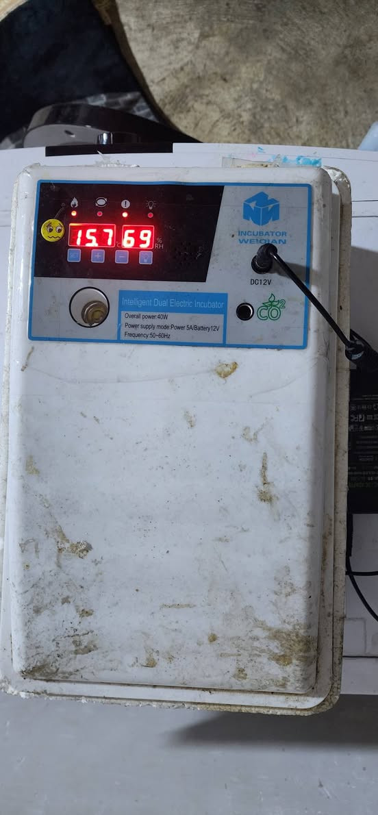 سڵاوی خوا لە هەمو لایک ئەم هەڵ هێنەرە بۆ فرۆشتن لەجۆری 24هێلکەی مریشکە زۆر پاکو بێکێشیە فول تۆماتیکە نرخی 50هەزراو کەمێ معامەلە زۆر پاکو بێ کێشیە بەزەمانی ئەوەی 24ی تێ کەی 20دانە هەڵبێت مەگەر هێلکە کان بێ تۆو بن من خۆم زۆر ئیسفادەم لێ کردوە شوێن سلیمانی  چات بنێرن بۆ زانیاری زیارتر
 ئەدمینی ❤ السليمانية, العراق


**إذا كنت صاحب هذا الإعلان وتريد حذفه لأي سبب، رجاءا أرسل رسالة إلى الدعم الفني**