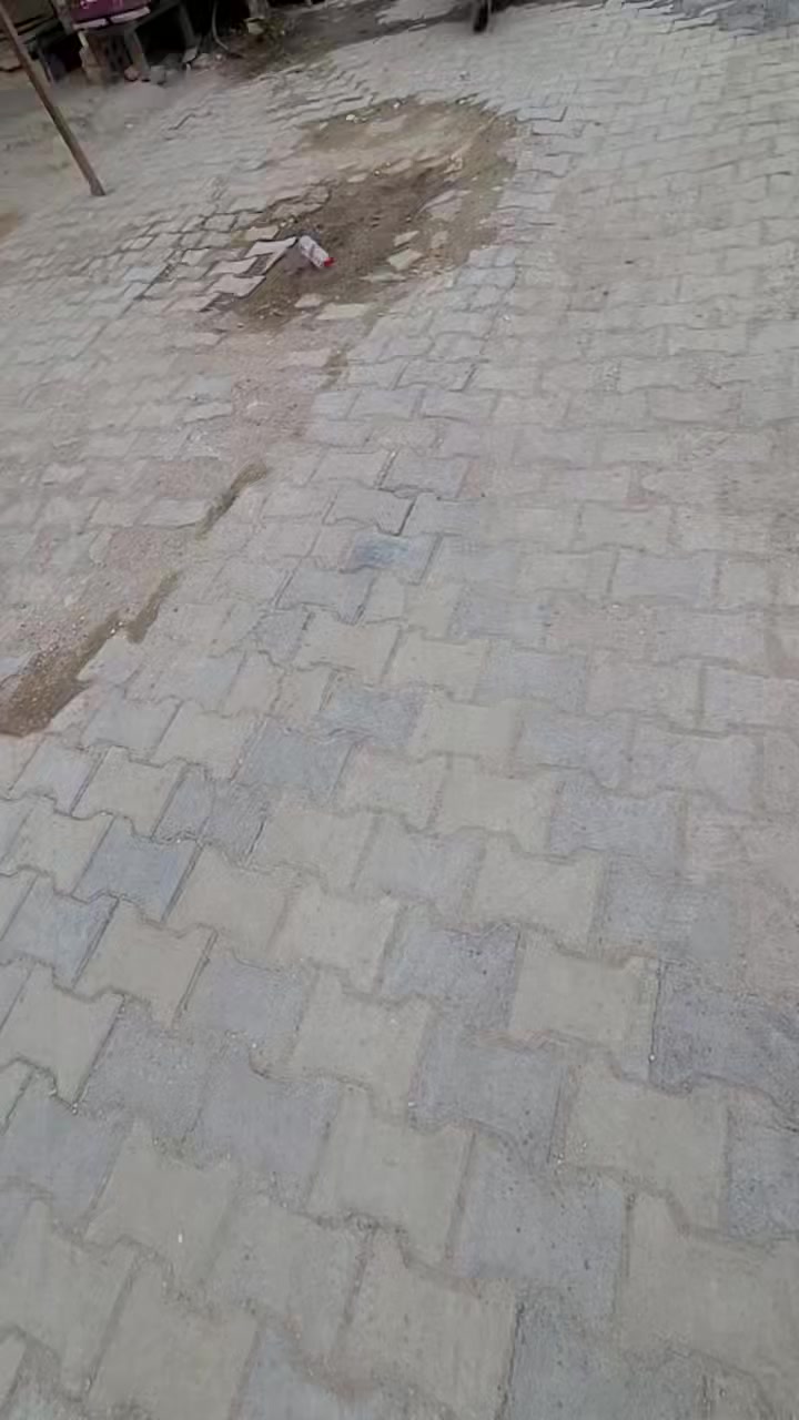 سلام عليكم
دراجة ماكس بوليس كابريتر موديل 2008 ختم واحد وية المكينة وكفالة عامة من كلشي دراجة طك كارتون كلش جديدة صارلها 3 اشهر طالعة من الرمبة شلعة ومعدل ونعومة فوول شرط نص نكرة سلف للبيع سعرها 800 وبيها مجال مكاني طويريج الشراي يتصل ***********
