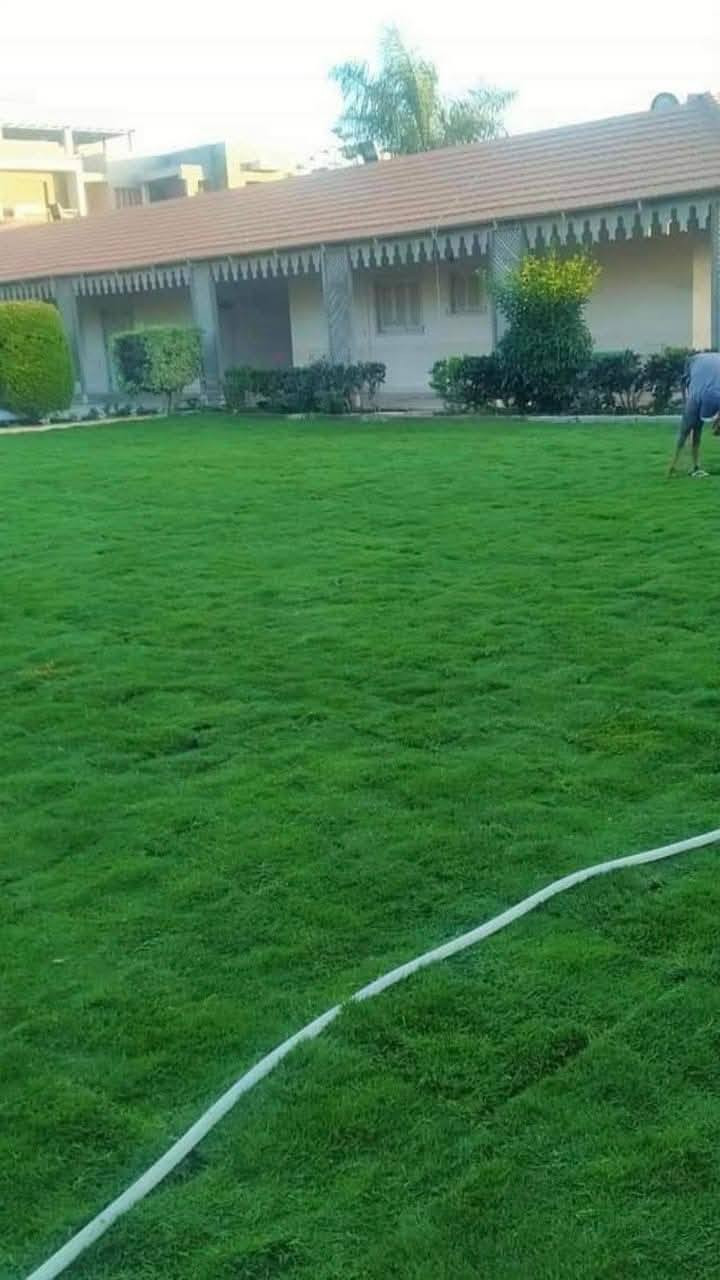 يوجد ثيل هندي للبيع للاستفسار اتصال على رقم الهاتف أو واتساب أو ماسنجر ***********
