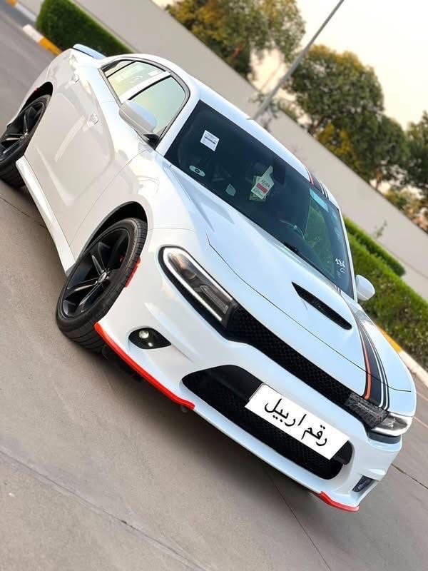 جارجر 2019 كندي. فقط تحديث دعاميات وبنيد كفاله عامه ضربه صبغ تبديل السياره ع وضع الشركه ماشية 73ميل السياره ع تخم تاير حداديه تبريد جديده بمعنى الكلمه مواصفات sxt رقم اربيل بسمنه السعر 229 وبيهه مجال بسيط حك الجيه رقم *********** 
عنوان بغداد الشعب
