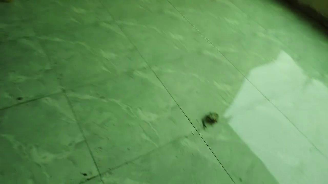 متفرغ حالين


**إذا كنت صاحب هذا الإعلان وتريد حذفه لأي سبب، رجاءا أرسل رسالة إلى الدعم الفني**