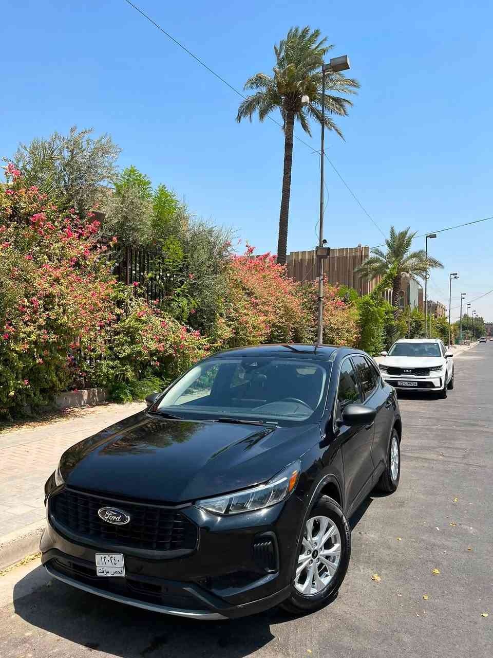 فورد سكيب
2024
وارد أمريكي 
بدون رقم السياره رقمها يكلف 11$
مكينه 1500 تيربو 🚀
3 قطع صبغ بدون دواخل 
ايرباك ستيرن أو برده
أو بيها باب pdr
ماشيه 3 ألف فقط
مواصفات 
بصمه 
تشغيل عن بعد 
شاشه جبيره 
كشنات جلد احمر 
توقف ذاتي 
تحديد مسار 
اوتو هولد 
اوتو ستوب
صندوق كهرباء
سياره جاهزه بدون نقص 
مكاني السياره بغداد 
السعر 130بيها مجال بسيط 
***********
