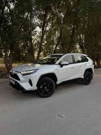 راف فور هايبرد • ٢٠٢٤ • ٣٢٠٠٠