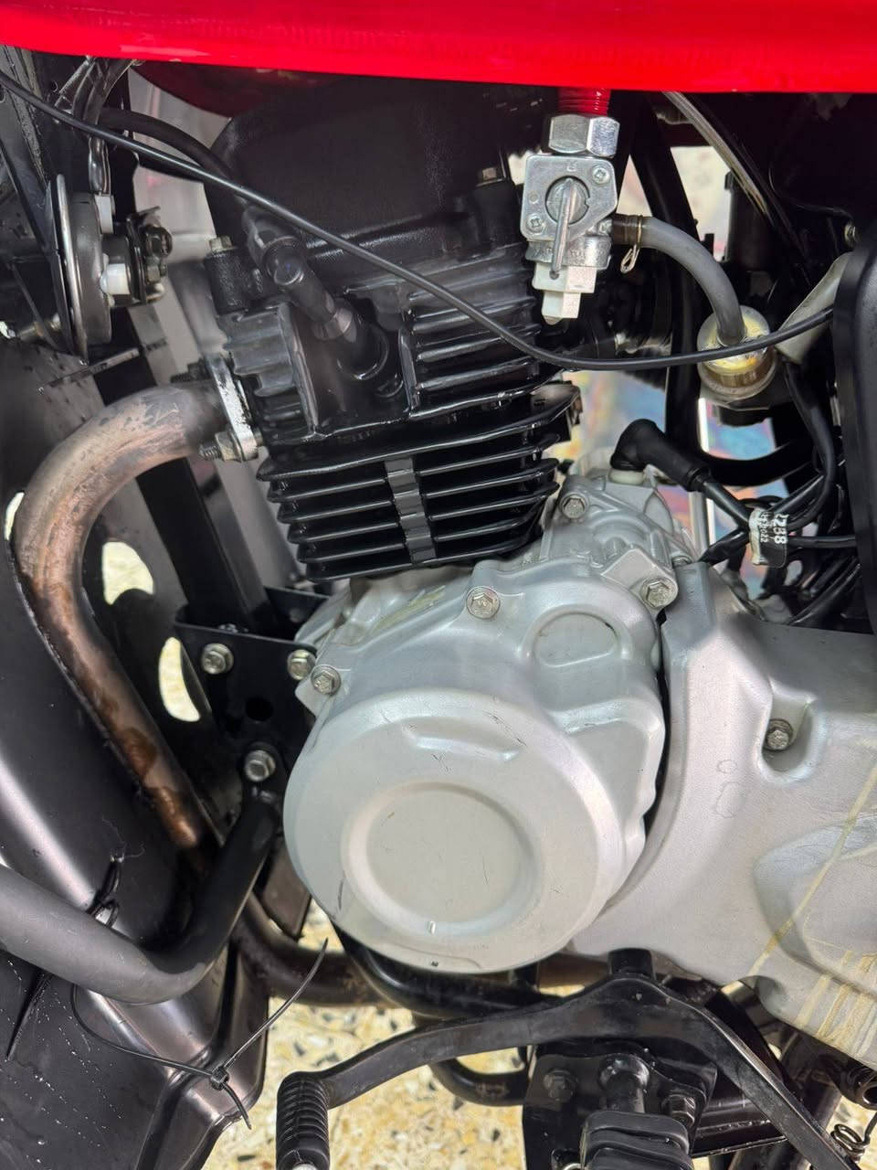 سلام عليكم بوكسر 23نازلة بل 24ماشية 41مكفولة من كلشي سنوية تحويل ثاني يوم بكاني بغداد حي الجهاد ٢٥٠٠وبيهة مجال ***********
