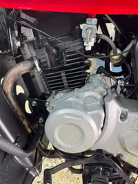 بوكسر 23نازلة بل 24ماشية 41مكفولة من كلشي سنوية تحويل ثاني يوم بكاني ب...