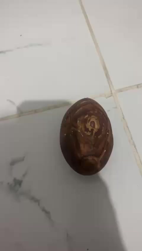 حجرة قديمة للتقييم والبيع


**إذا كنت صاحب هذا الإعلان وتريد حذفه لأي سبب، رجاءا أرسل رسالة إلى الدعم الفني**