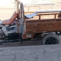 ستوته • بدون وراق • محرك كرتون