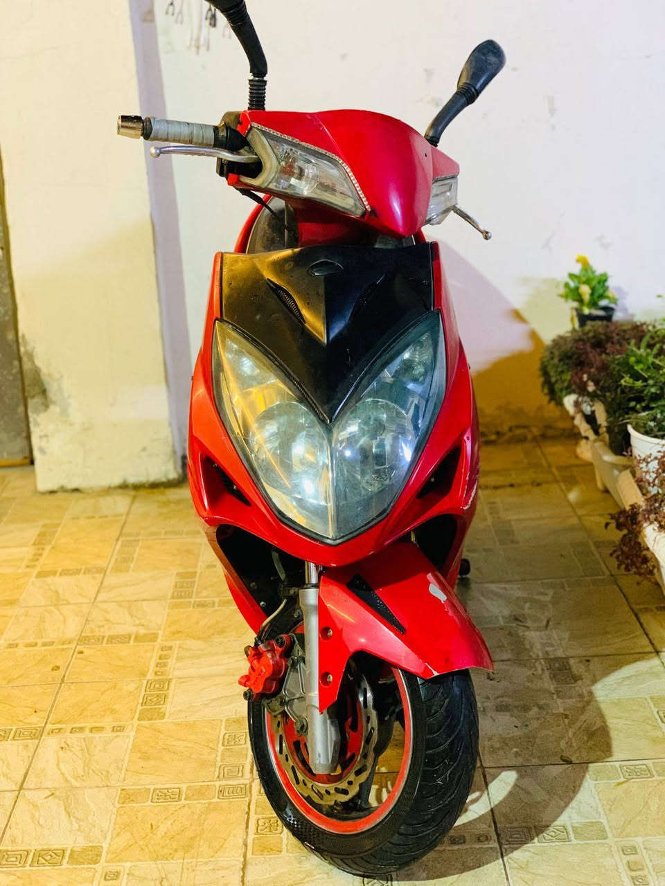 كامكو رايسنك محرك 150cc
شلعه ومعدل ونعومه طلقه 
السعر/ 500 
حله مركز المدينة 
***********
