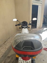 بوكسر • مكفوله • ٢٠٢٣