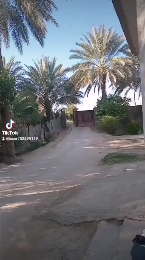 بستان خمسه دونم للبيع ع طريق كوت شيخ سعد بيه ماء كهرباء مدارس ابتدائية ومتوسطة ثانويه يبعد عن الشارع العام 150 متر الاتصال واتساب ***********
