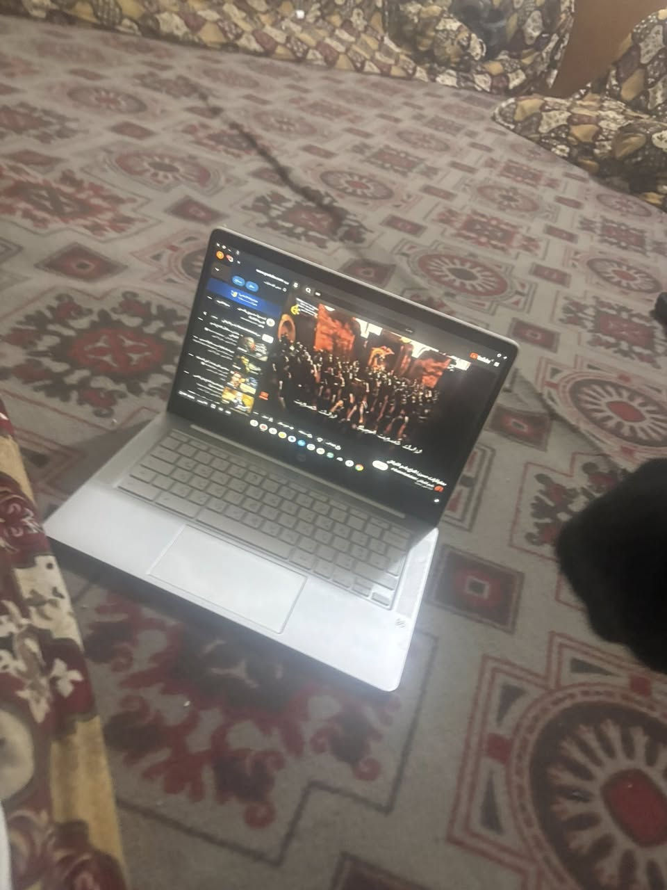 سلام عليكم اخوان حاسبه مستعمله قليل كلشي مابيه كدام عين حاسبه نظيفه كلش سعر مالته مناسب جدا ١٢٥ بيه محال مكاني نجف حي الانصار


**إذا كنت صاحب هذا الإعلان وتريد حذفه لأي سبب، رجاءا أرسل رسالة إلى الدعم الفني**