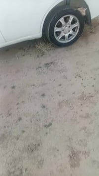 تيكو • ٢٠١٣ • رقم بغداد