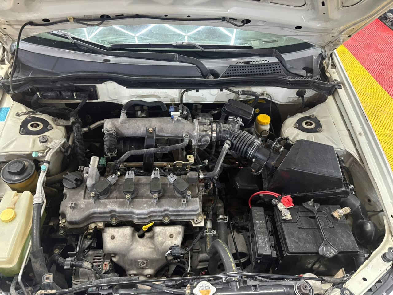 نيسان سةني مويديل ٢٠٠٩بي بوياغ نمونة لةجواني تايةي تازةية سةنةوي تازةية ژمارة تلفون ***********شوين كلار نرخ ١٠٣توزيك مجال
