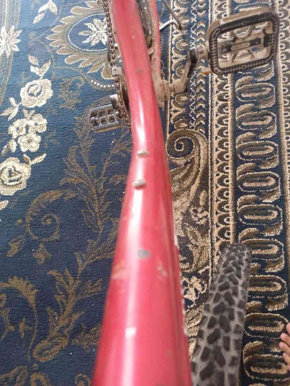 السلام عليكم ورحمة الله مراوس بايسكل ب مبايل او ايباد ال بايسكل شغال خمش ما مخموش بعده جديد


**إذا كنت صاحب هذا الإعلان وتريد حذفه لأي سبب، رجاءا أرسل رسالة إلى الدعم الفني**