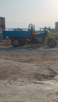 اخوان ستوتة للبيع لستفسار 07766345992 المكان الشعلة السلامات